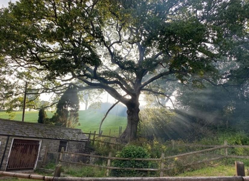 Pippin Lodge Llanwrda Exterior foto